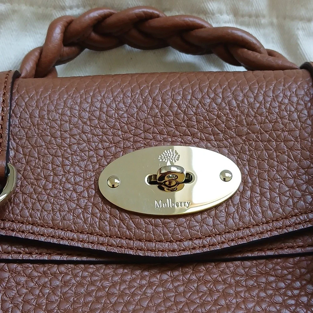 Mulberry Mini Alexa Heavy Grain - Picture 4 of 11